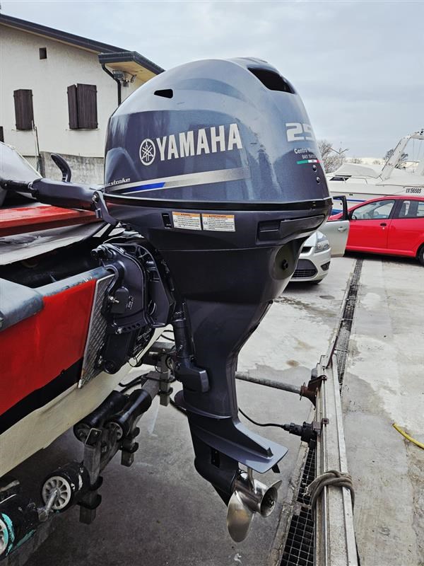 Yamaha F25DETL